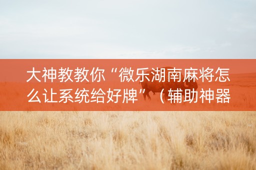大神教教你“微乐湖南麻将怎么让系统给好牌”（辅助神器免费)