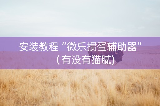 安装教程“微乐掼蛋辅助器”（有没有猫腻)