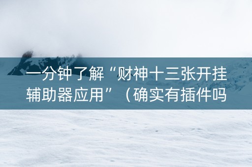 一分钟了解“财神十三张开挂辅助器应用”（确实有插件吗)