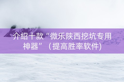 介绍十款“微乐陕西挖坑专用神器”（提高胜率软件)