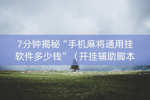 7分钟揭秘“手机麻将通用挂软件多少钱”（开挂辅助脚本)