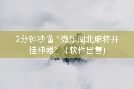 2分钟秒懂“微乐湖北麻将开挂神器”（软件出售)