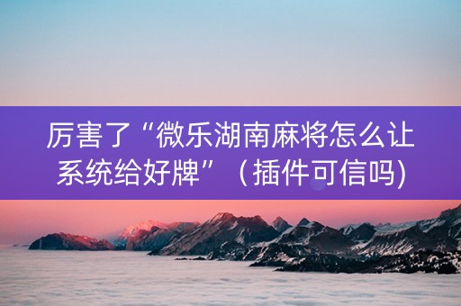 厉害了“微乐湖南麻将怎么让系统给好牌”（插件可信吗)