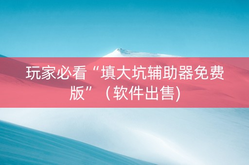 玩家必看“填大坑辅助器免费版”（软件出售)