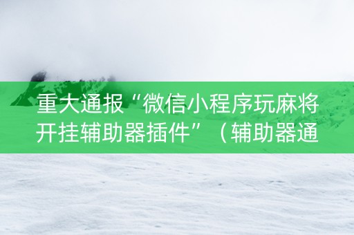 重大通报“微信小程序玩麻将开挂辅助器插件”（辅助器通用版)