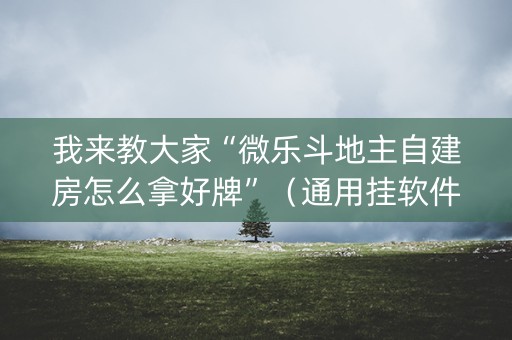 我来教大家“微乐斗地主自建房怎么拿好牌”（通用挂软件多少钱)
