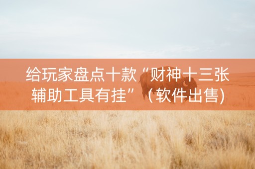 给玩家盘点十款“财神十三张辅助工具有挂”（软件出售)