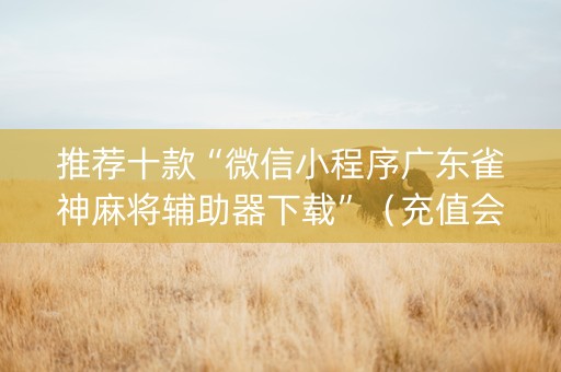 推荐十款“微信小程序广东雀神麻将辅助器下载”（充值会提高胜率么)