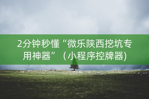 2分钟秒懂“微乐陕西挖坑专用神器”（小程序控牌器)