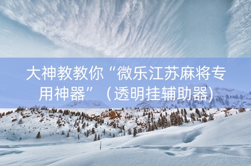 大神教教你“微乐江苏麻将专用神器”（透明挂辅助器)