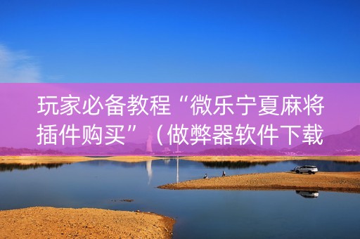玩家必备教程“微乐宁夏麻将插件购买”（做弊器软件下载)