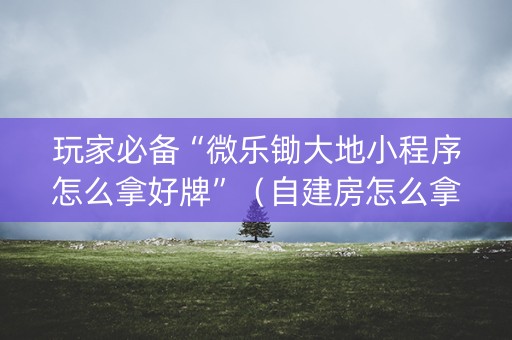 玩家必备“微乐锄大地小程序怎么拿好牌”（自建房怎么拿好牌)