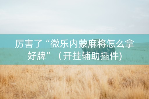 厉害了“微乐内蒙麻将怎么拿好牌”（开挂辅助插件)