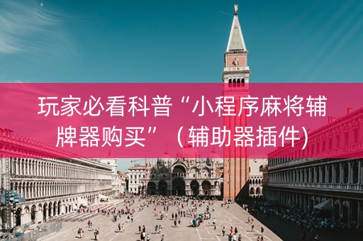 玩家必看科普“小程序麻将辅牌器购买”（辅助器插件)