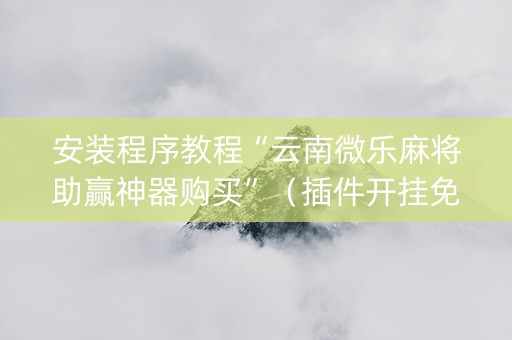 安装程序教程“云南微乐麻将助赢神器购买”（插件开挂免费AI)