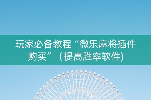 玩家必备教程“微乐麻将插件购买”（提高胜率软件)