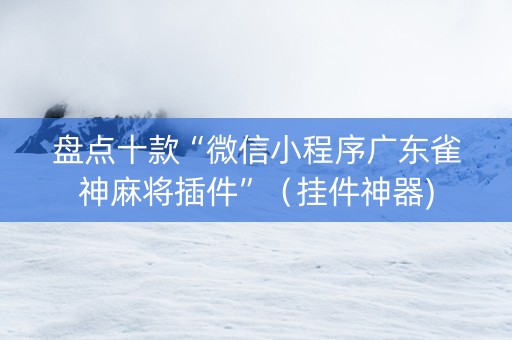 盘点十款“微信小程序广东雀神麻将插件”（挂件神器)