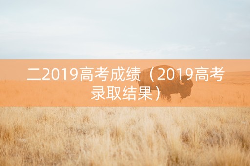二2019高考成绩（2019高考录取结果）