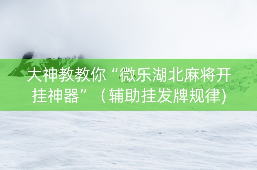 大神教教你“微乐湖北麻将开挂神器”（辅助挂发牌规律)