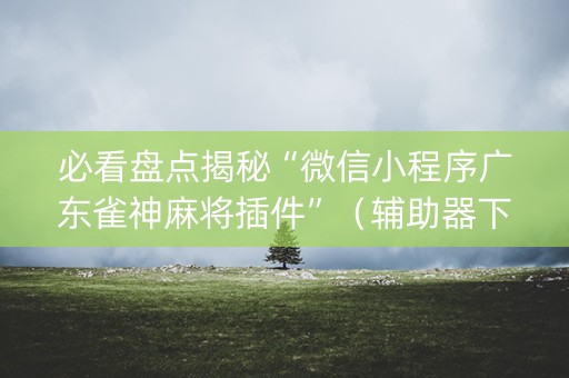 必看盘点揭秘“微信小程序广东雀神麻将插件”（辅助器下载)
