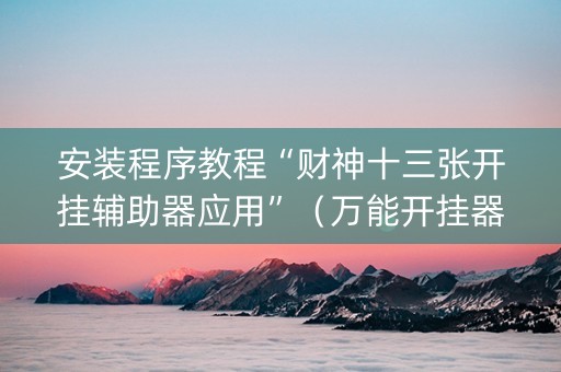 安装程序教程“财神十三张开挂辅助器应用”（万能开挂器)