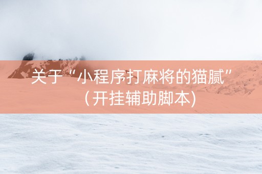 关于“小程序打麻将的猫腻”（开挂辅助脚本)