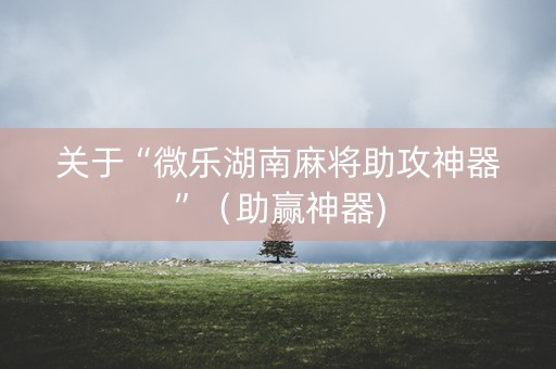 关于“微乐湖南麻将助攻神器”（助赢神器)