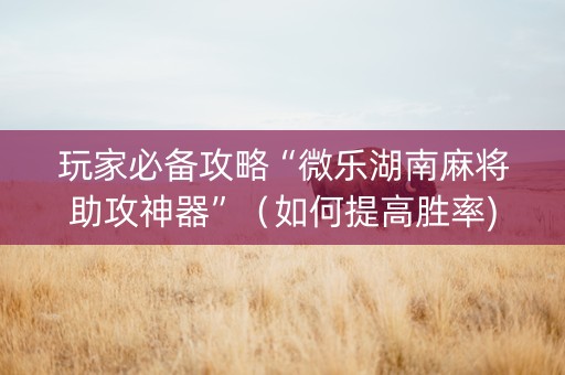 玩家必备攻略“微乐湖南麻将助攻神器”（如何提高胜率)