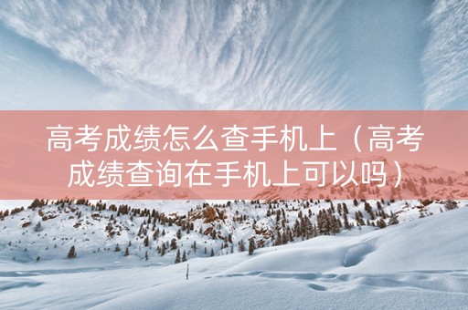 高考成绩怎么查手机上（高考成绩查询在手机上可以吗）