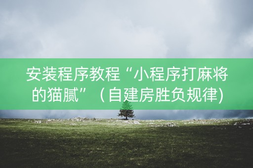 安装程序教程“小程序打麻将的猫腻”（自建房胜负规律)