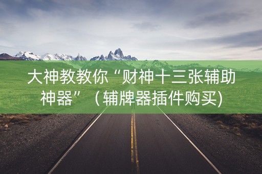 大神教教你“财神十三张辅助神器”（辅牌器插件购买)