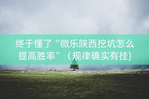终于懂了“微乐陕西挖坑怎么提高胜率”（规律确实有挂)