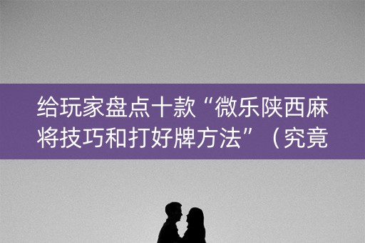 给玩家盘点十款“微乐陕西麻将技巧和打好牌方法”（究竟是不是有挂)