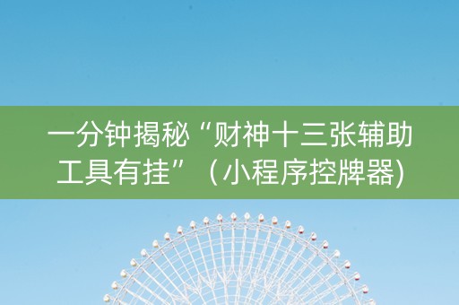 一分钟揭秘“财神十三张辅助工具有挂”（小程序控牌器)