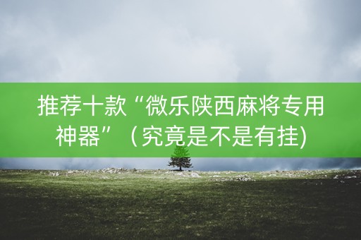推荐十款“微乐陕西麻将专用神器”（究竟是不是有挂)