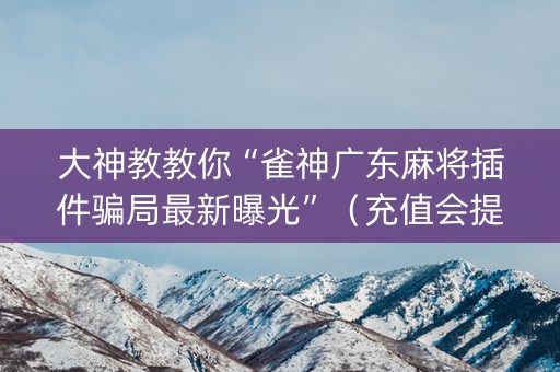 大神教教你“雀神广东麻将插件骗局最新曝光”（充值会提高胜率么)