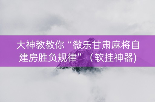 大神教教你“微乐甘肃麻将自建房胜负规律”（软挂神器)