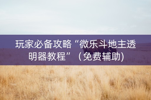 玩家必备攻略“微乐斗地主透明器教程”（免费辅助)