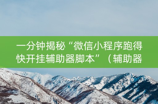 一分钟揭秘“微信小程序跑得快开挂辅助器脚本”（辅助器通用版)