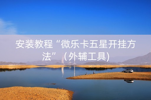 安装教程“微乐卡五星开挂方法”（外辅工具)