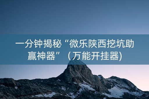 一分钟揭秘“微乐陕西挖坑助赢神器”（万能开挂器)