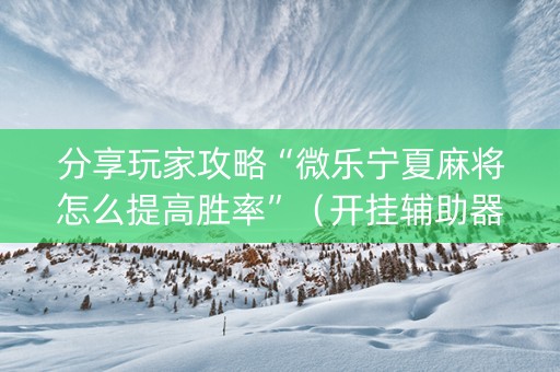 分享玩家攻略“微乐宁夏麻将怎么提高胜率”（开挂辅助器插件)