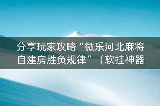 分享玩家攻略“微乐河北麻将自建房胜负规律”（软挂神器)