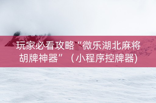 玩家必看攻略“微乐湖北麻将胡牌神器”（小程序控牌器)