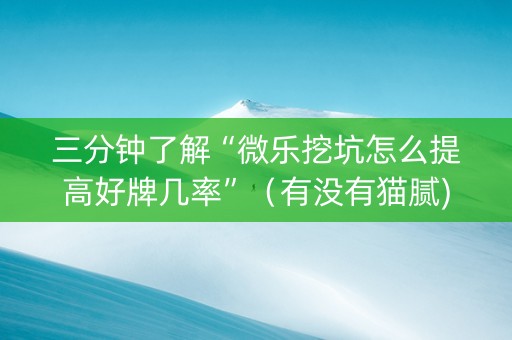 三分钟了解“微乐挖坑怎么提高好牌几率”（有没有猫腻)