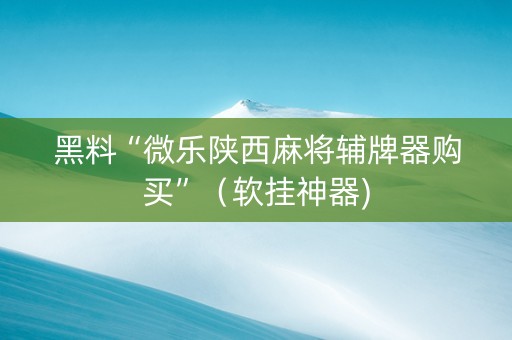 黑料“微乐陕西麻将辅牌器购买”（软挂神器)