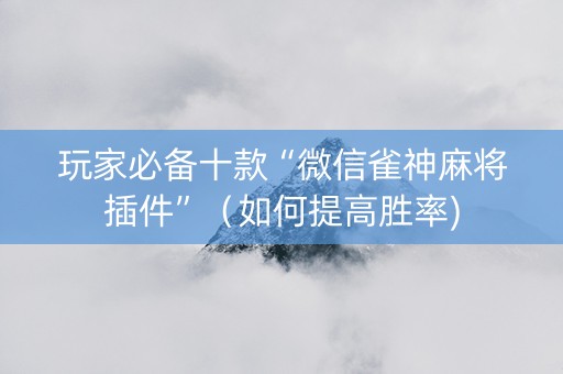 玩家必备十款“微信雀神麻将插件”（如何提高胜率)
