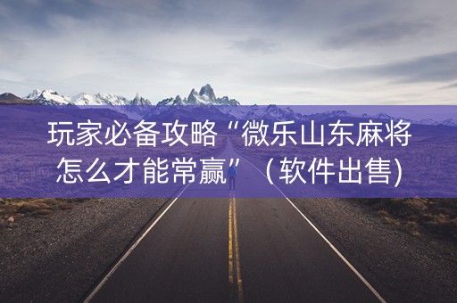 玩家必备攻略“微乐山东麻将怎么才能常赢”（软件出售)