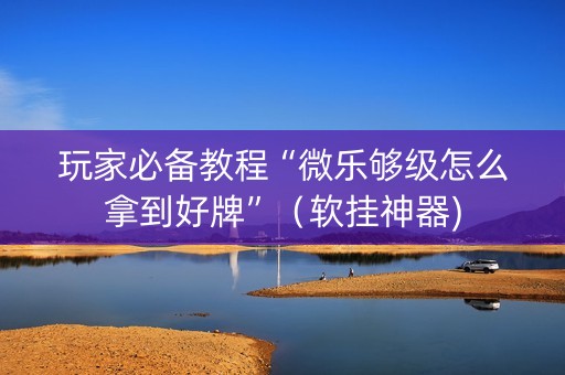 玩家必备教程“微乐够级怎么拿到好牌”（软挂神器)