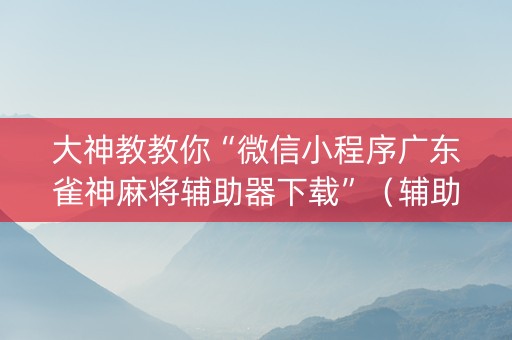 大神教教你“微信小程序广东雀神麻将辅助器下载”（辅助器下载)